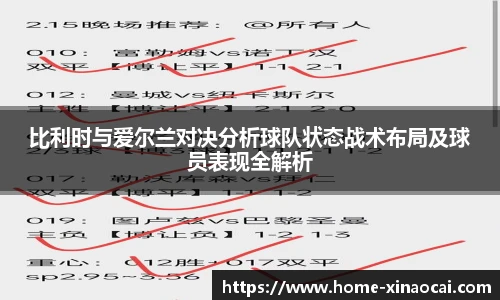 比利时与爱尔兰对决分析球队状态战术布局及球员表现全解析
